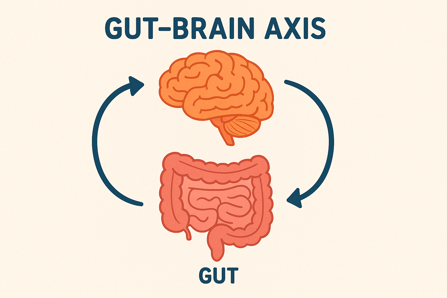 Gut-brain axis diagram